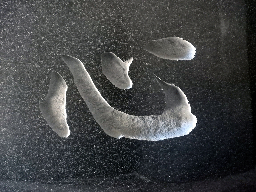 彫刻文字 彫刻文字見本 心